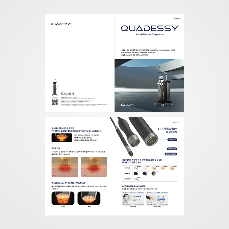 쿼드세이 브로셔