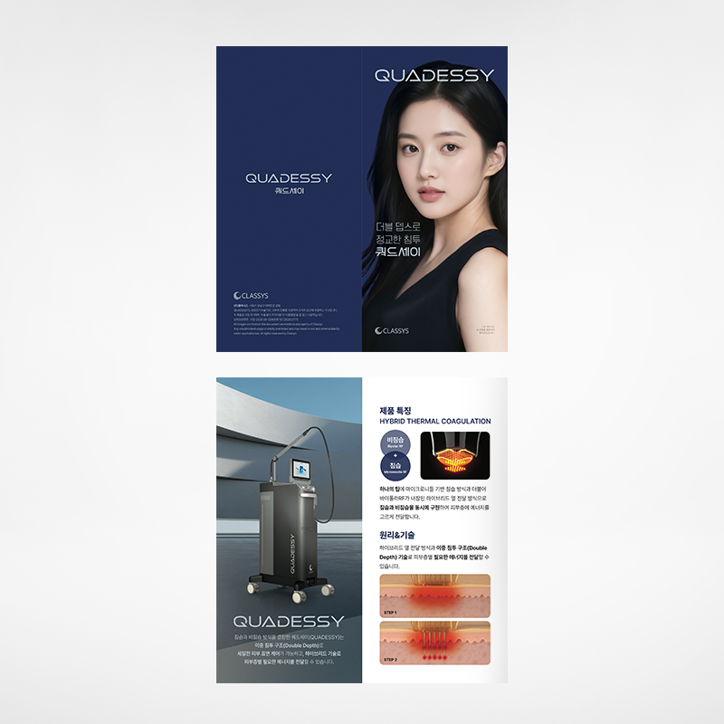 쿼드세이 리플렛